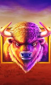 Buffalo King
